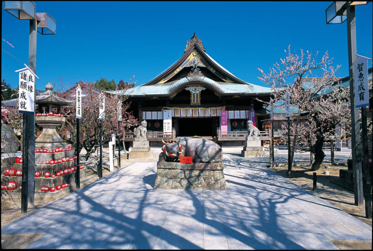 岩津天満宮 花咲かタイムズ