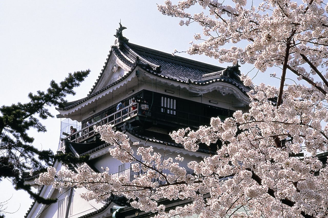 岡崎城 桜まつり