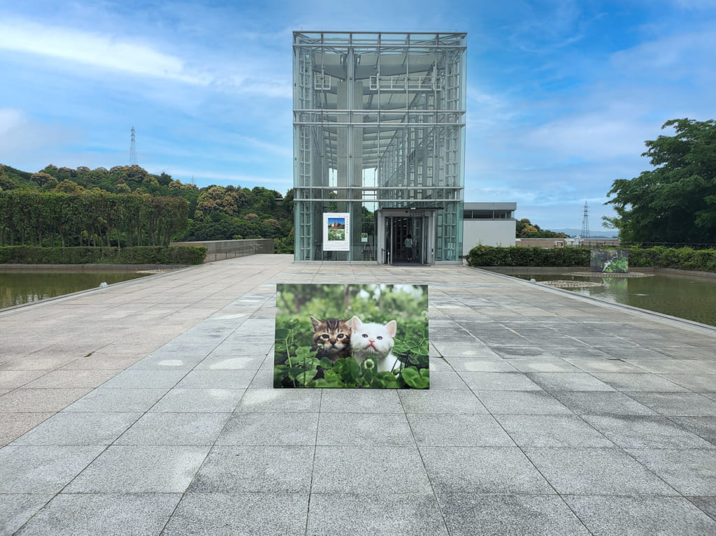 岩合光昭 写真展 岡崎市