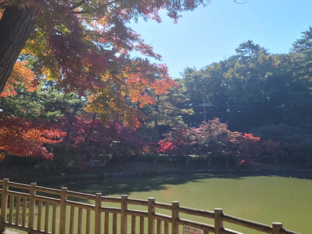 東公園 紅葉