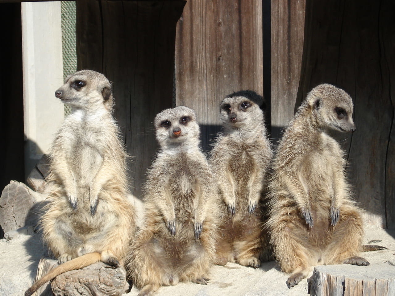 東公園動物園