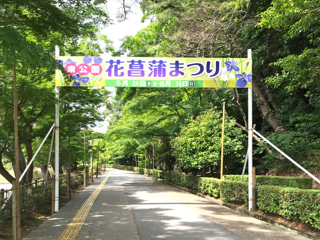 東公園 花菖蒲まつり