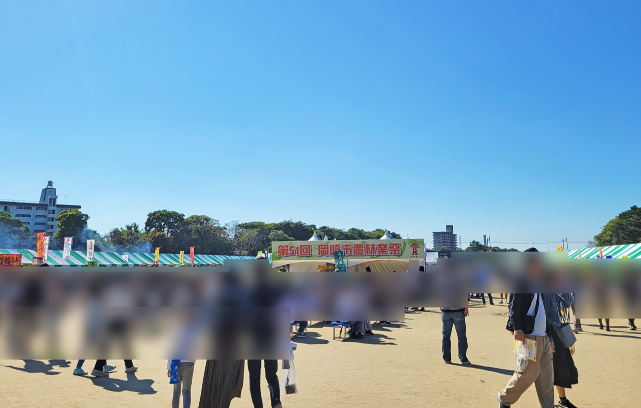 岡崎城下家康公秋まつり