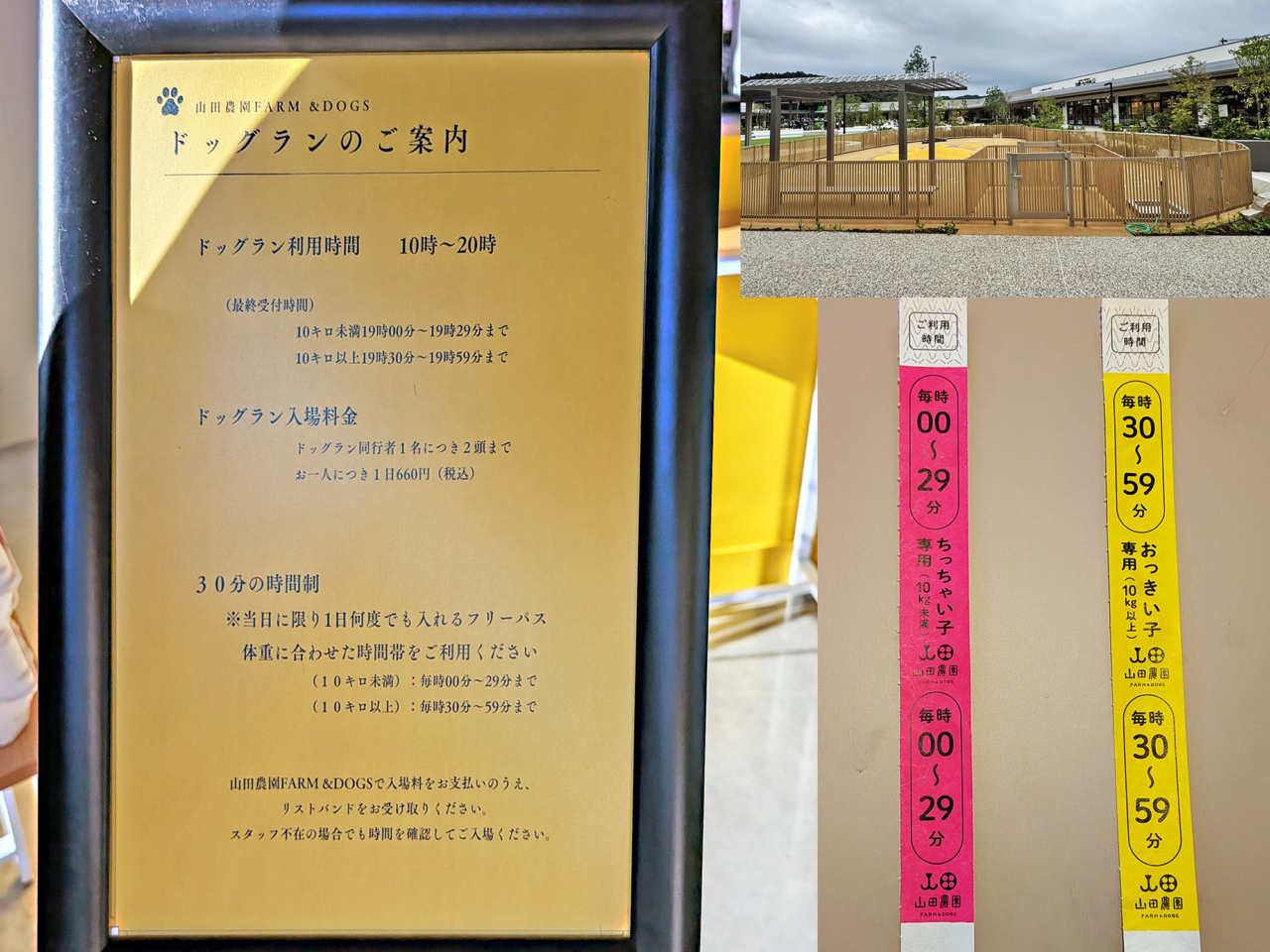 山田農園 FARM&DOGS