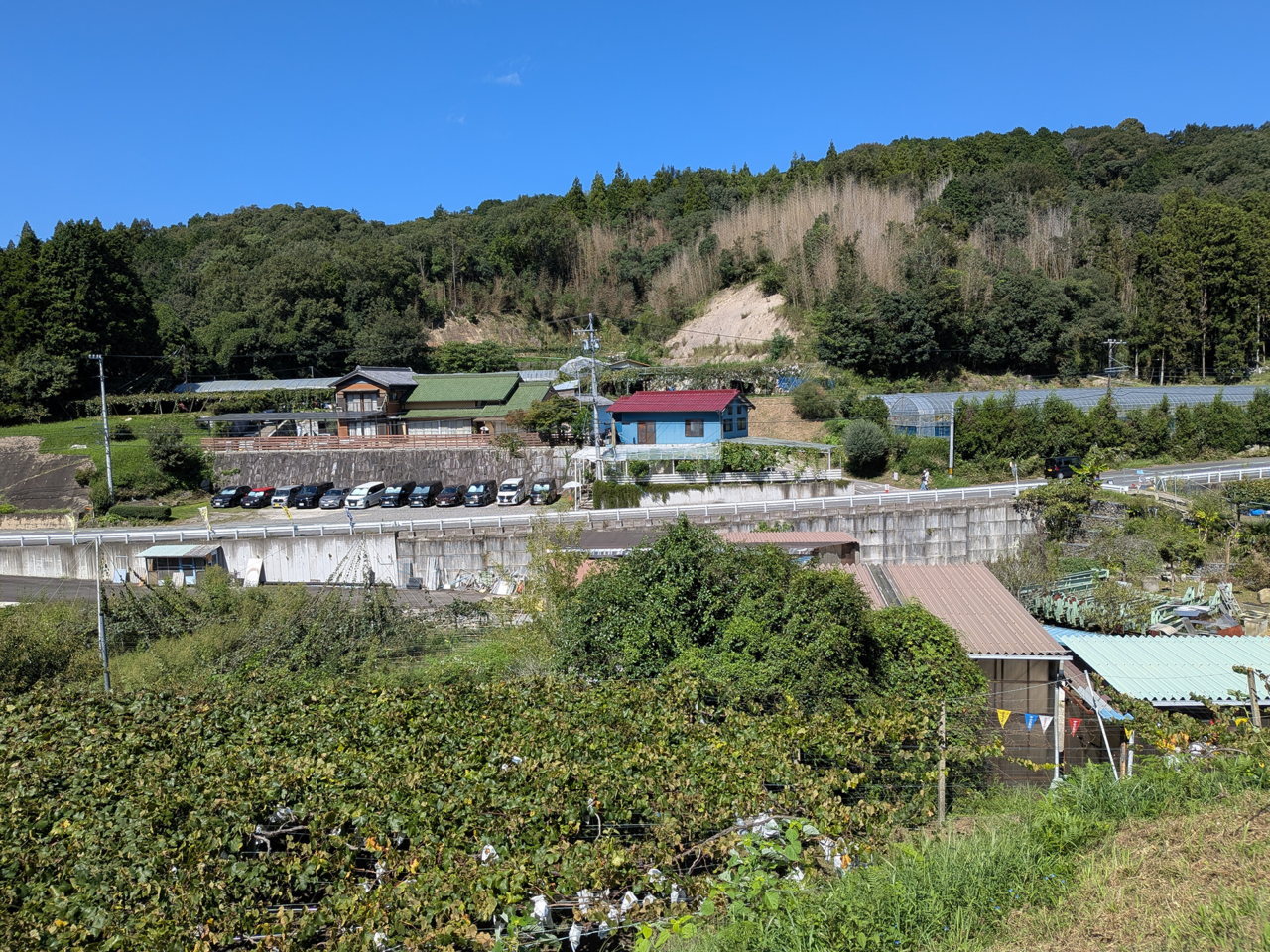 常果園